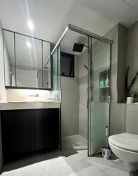 Blk 1A The Pinnacle@Duxton (Bukit Merah), HDB 4 Rooms #538107991
